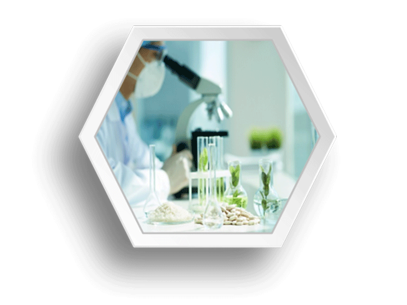 1f67555a-acad-44e0-8f65-160a2aa62ac0