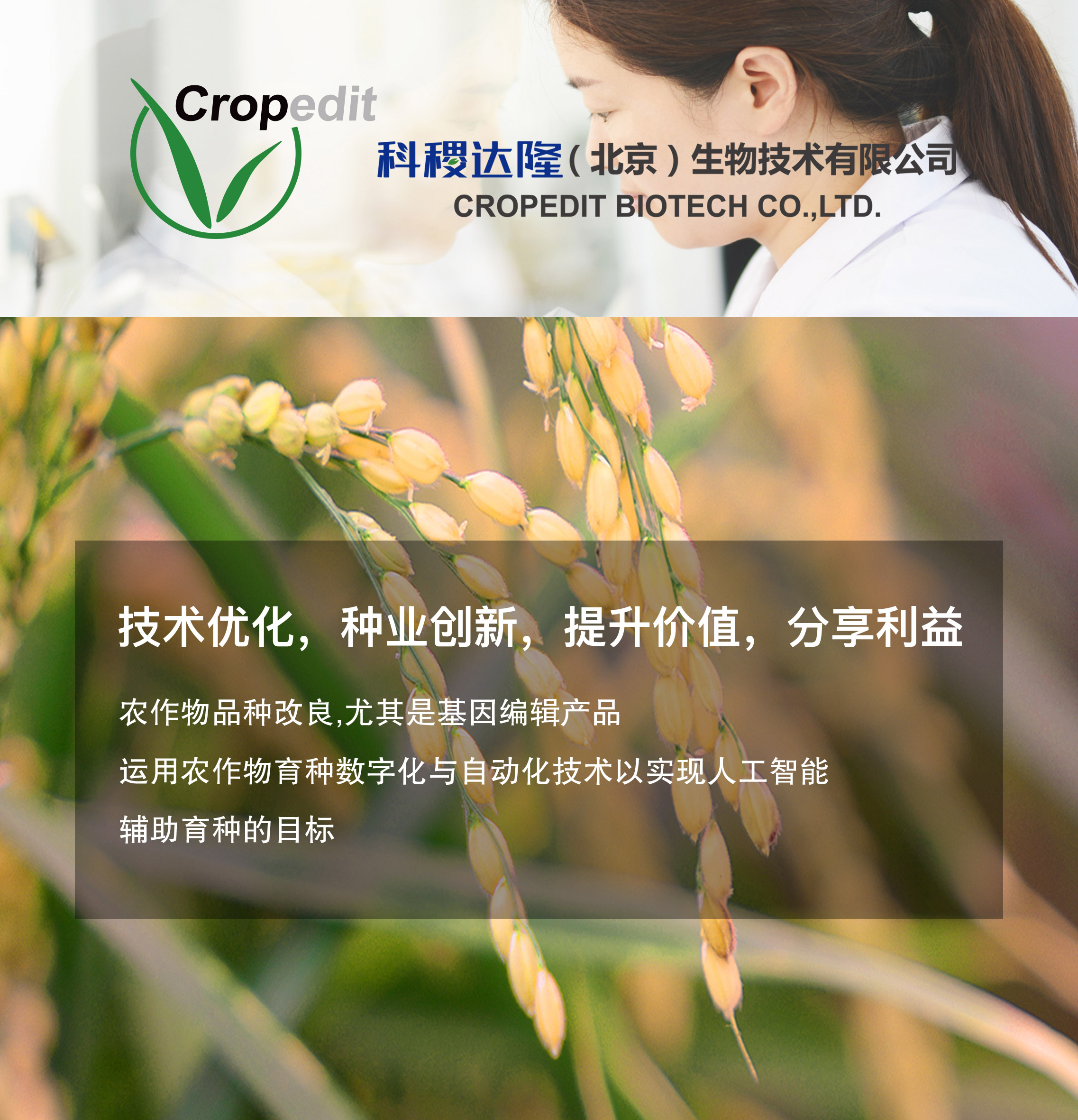 450648b1-009f-4ae7-a947-d0ba6d8277f6