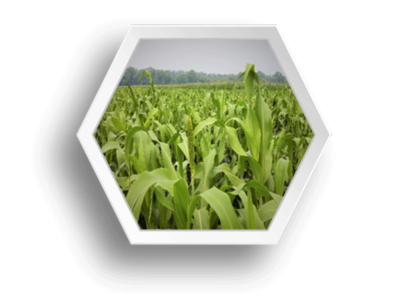 5f16308c-2ce9-442e-b0ca-ae9d9aac1fc5